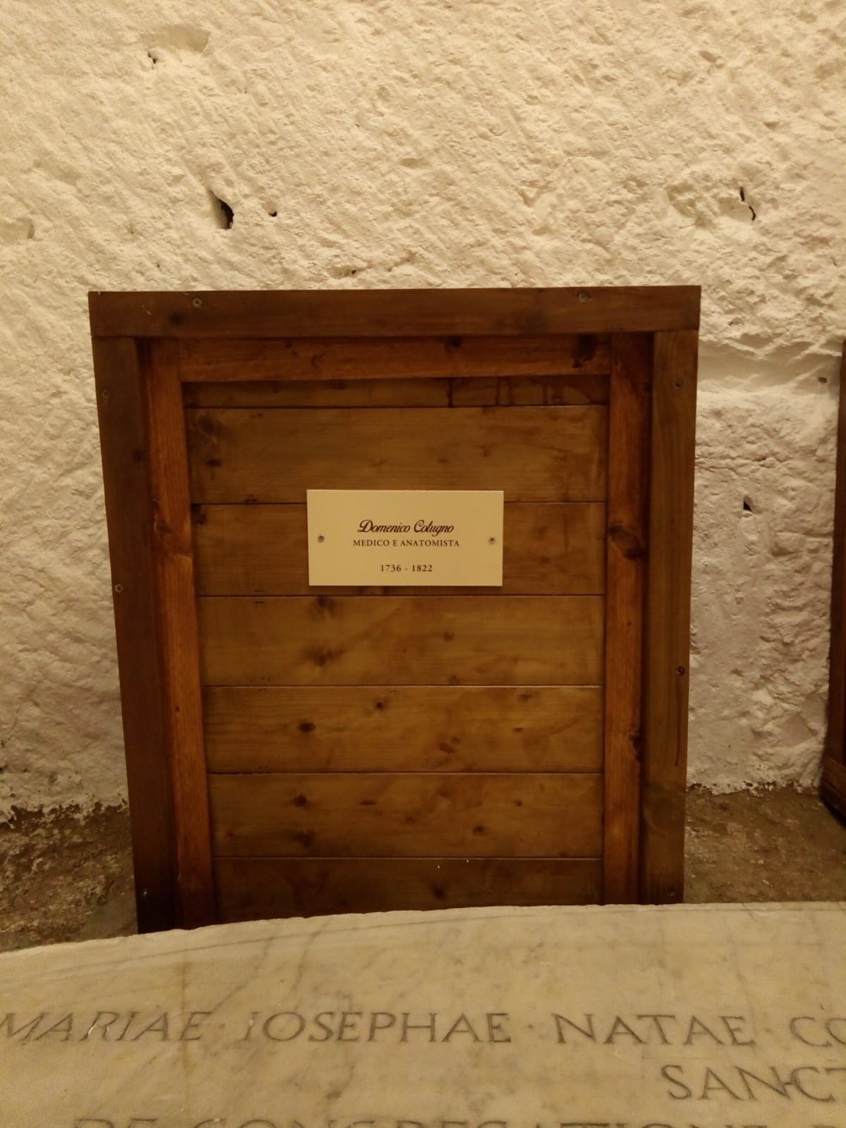 Domenico Cotugno's tomb, Naples (3).jpg